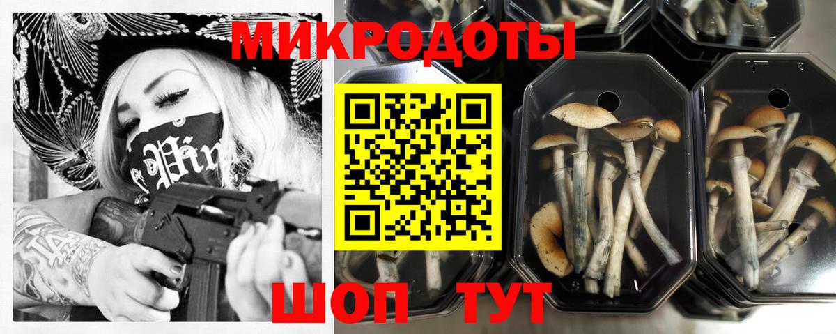Псилоцибиновые грибы ЛСД Котлас